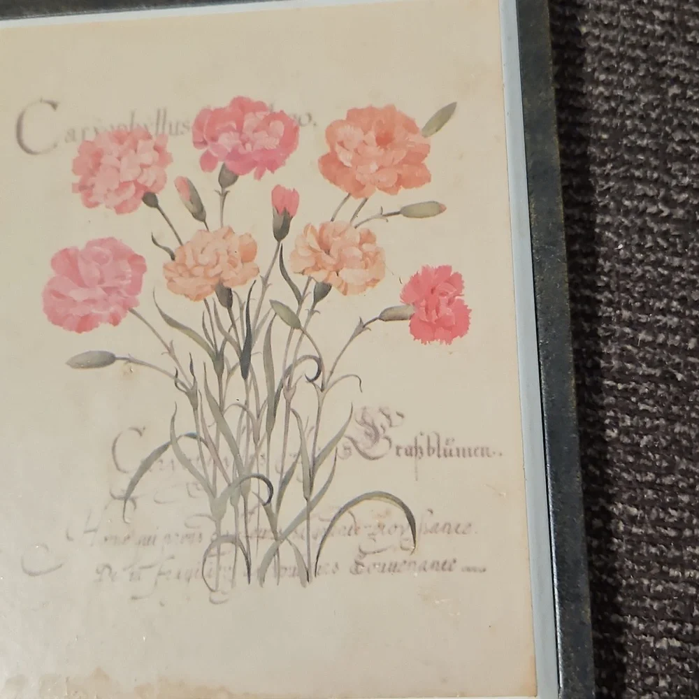 ❤️Floral Wall Hook with Red and Pink Carnations